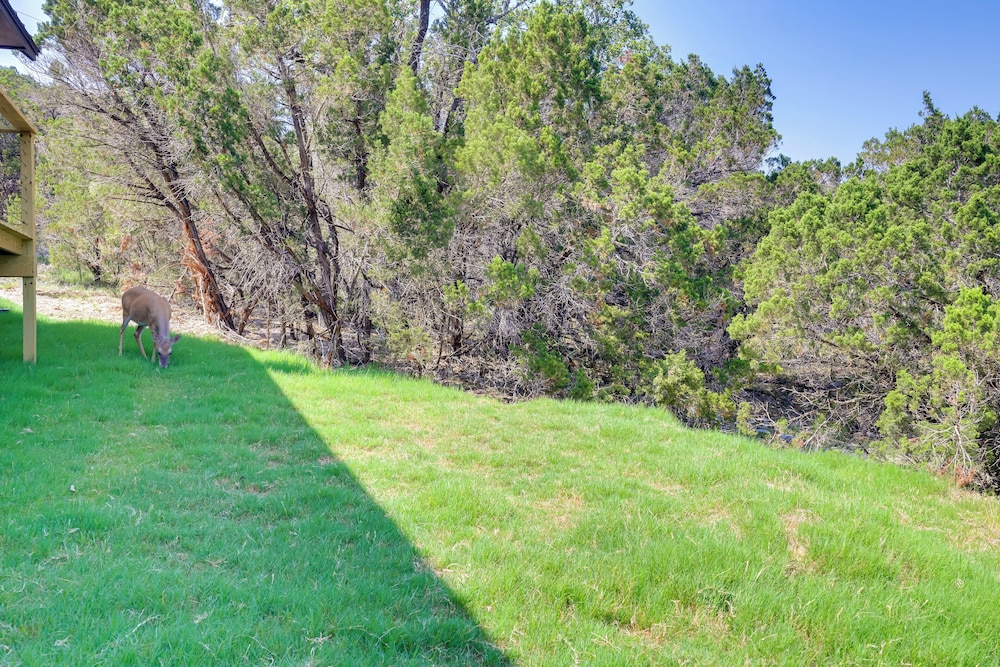 Cozy Canyon Lake Studio w/ Forest & Creek Views!