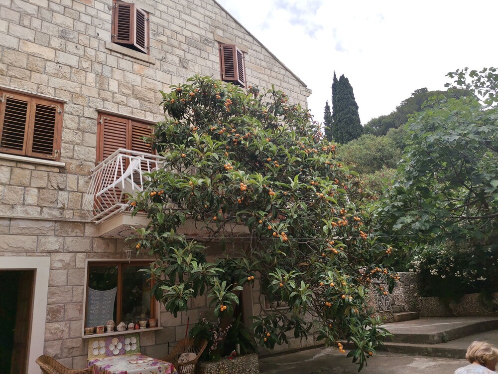 Beach Front Villa a Stone Throw Away From the sea view 4