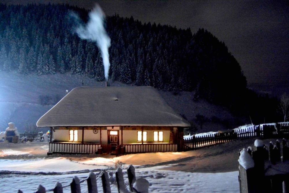 Photo 42