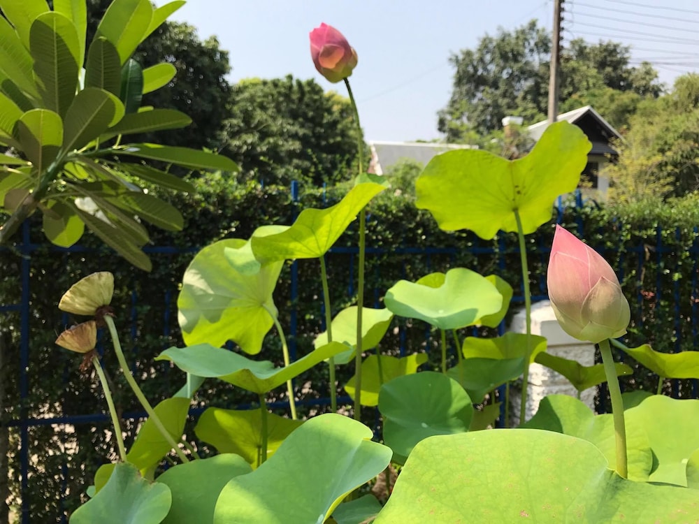 A Taste of Europe in Chiang Mai