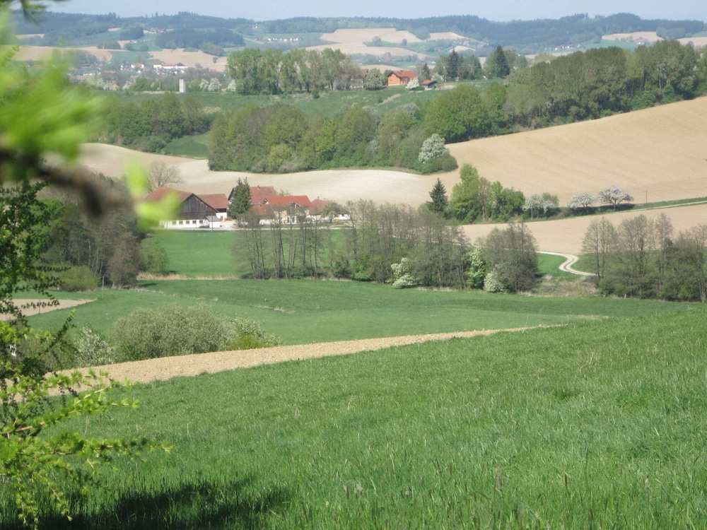 Comfortable Apartments in Rotthalmunster, photo 24