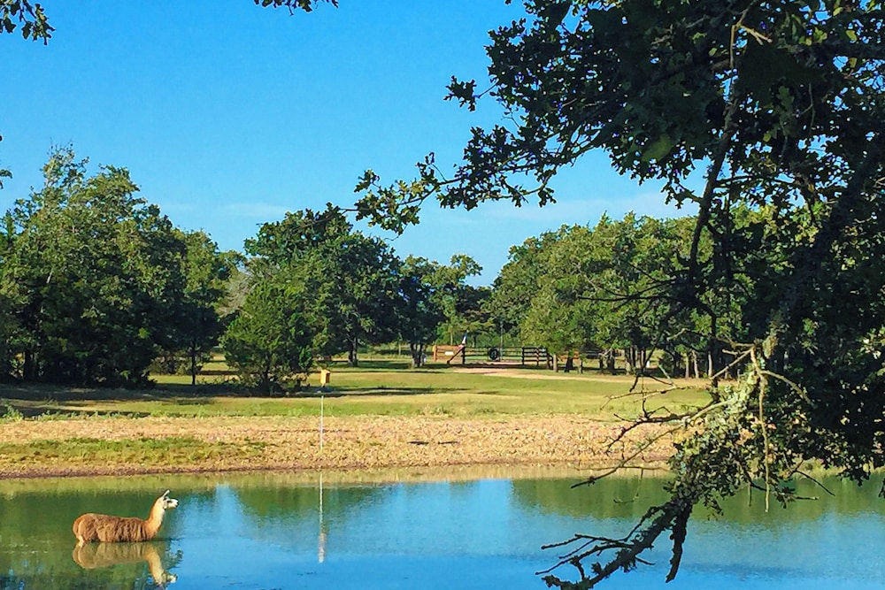 Water-view Cabin w/ Front Porch, W & D, Streaming