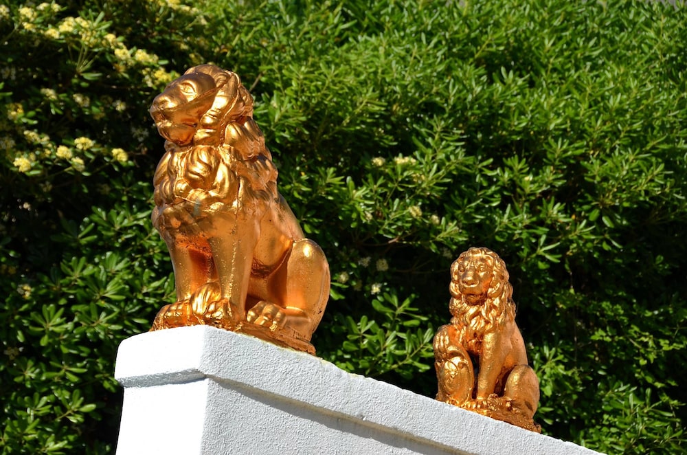 Photo 42