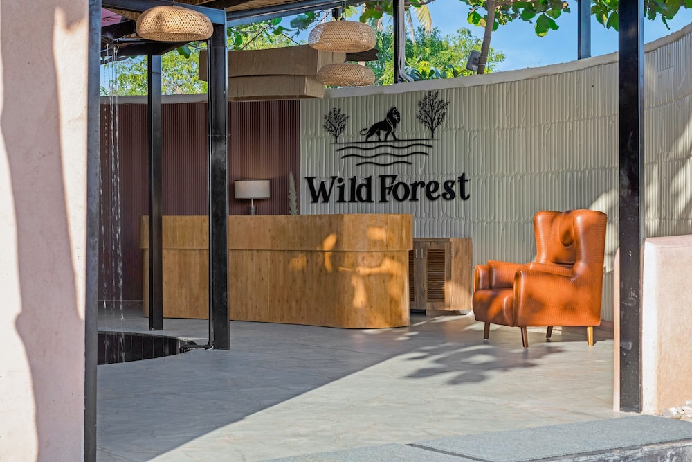 Wild forest Sasan Gir Wildlife Sanctuary