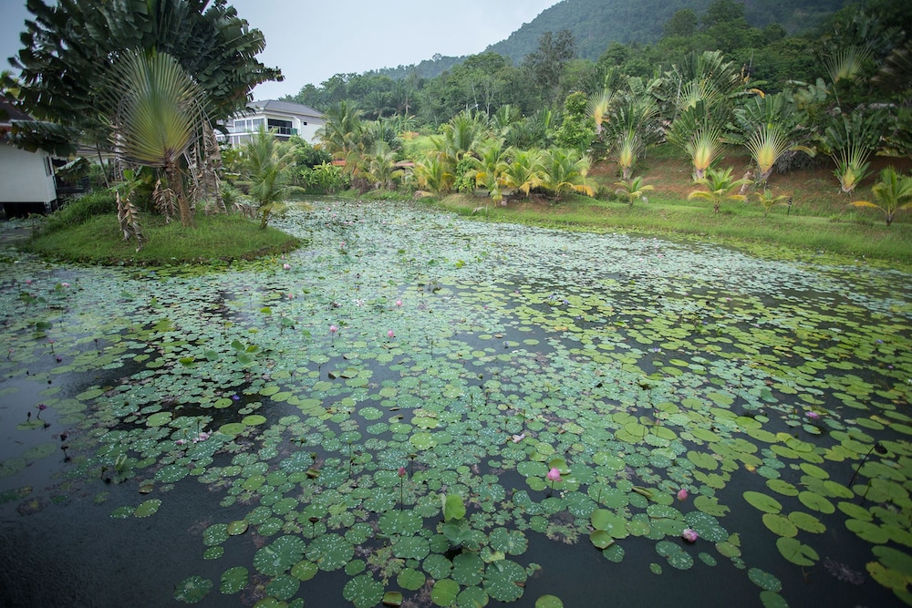 Kaleane Villa Resort