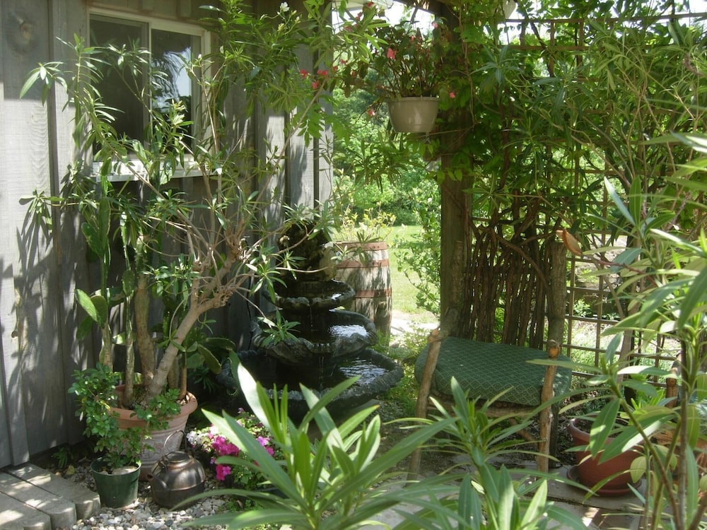 Koch Haus Bed & Breakfast