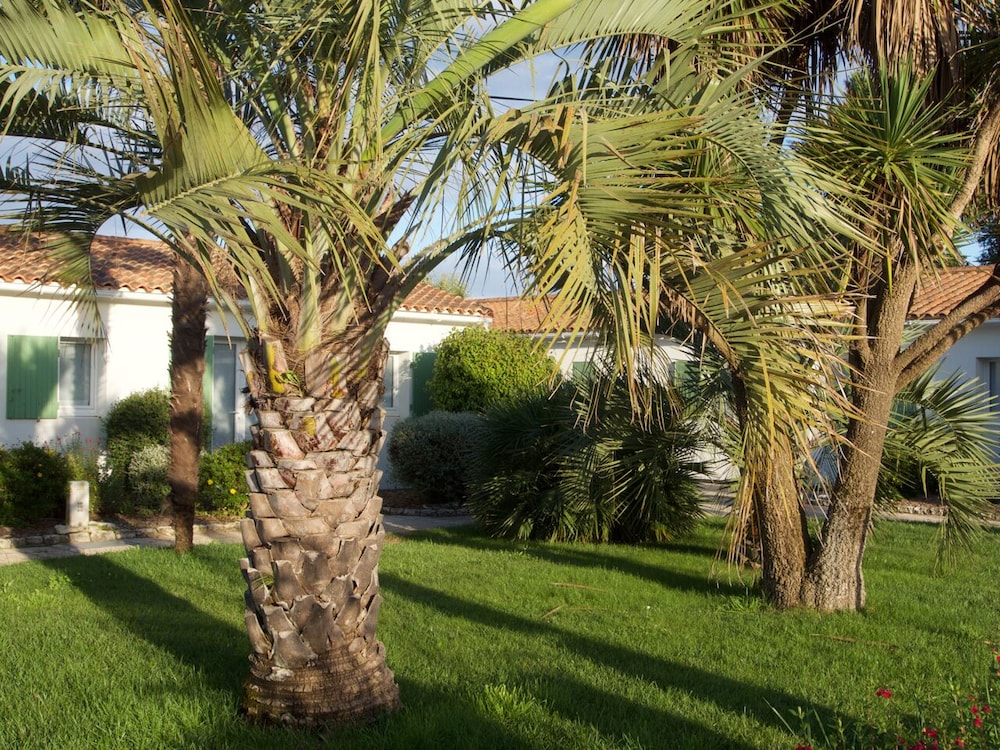 Le Petit Bois view 4