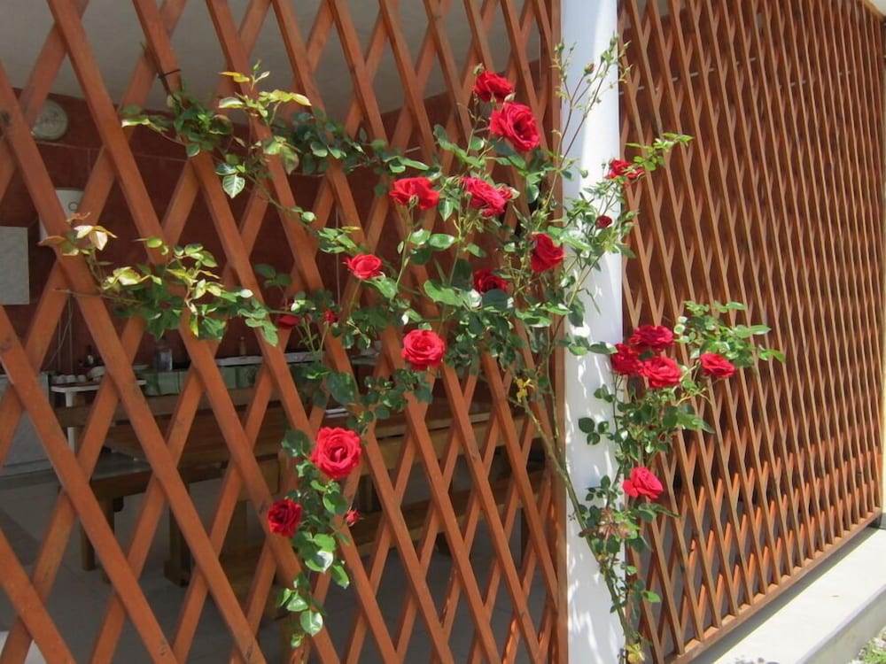 Guest House Vesta