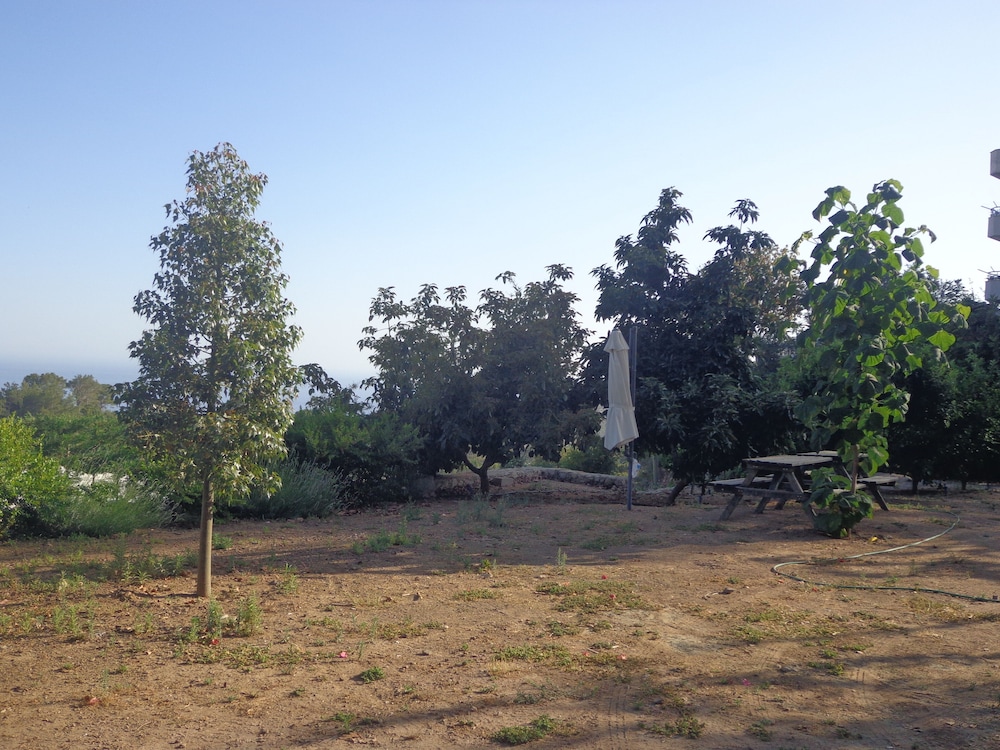 Farmhill Pension view 5