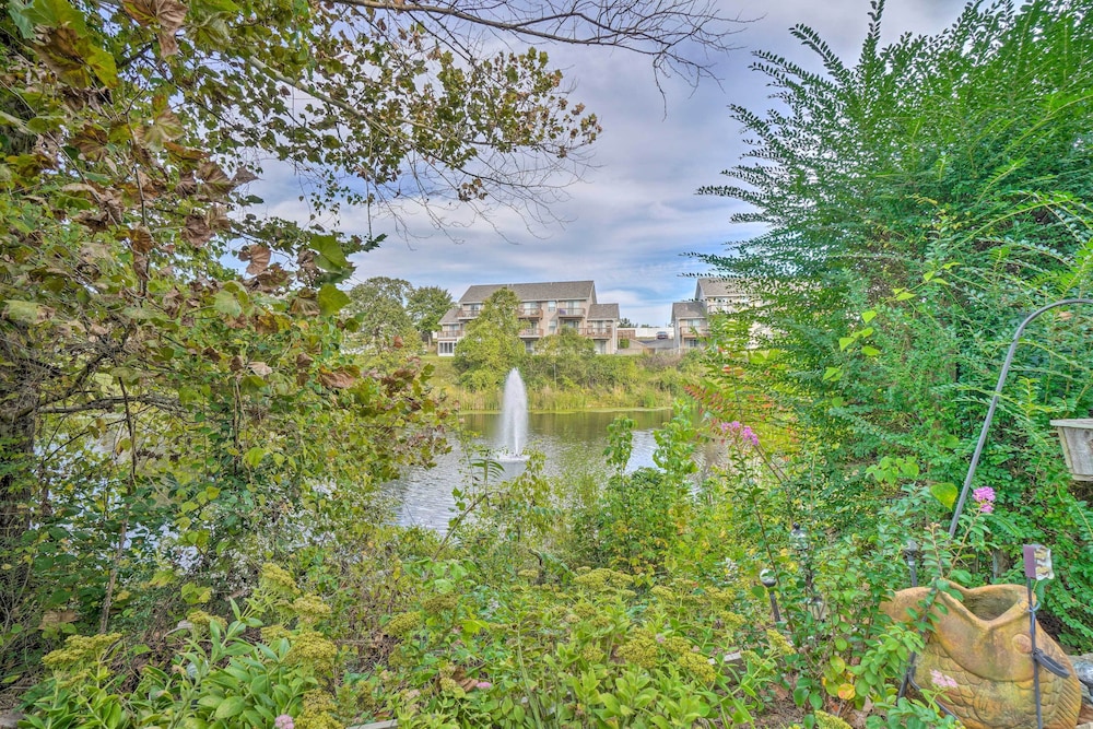 Sun-soaked Lake Taneycomo Condo w/ Furnished Patio view 4