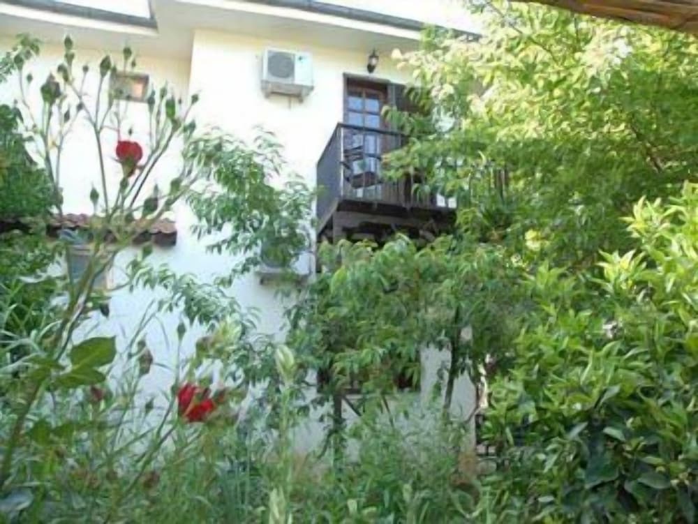 Photo 32