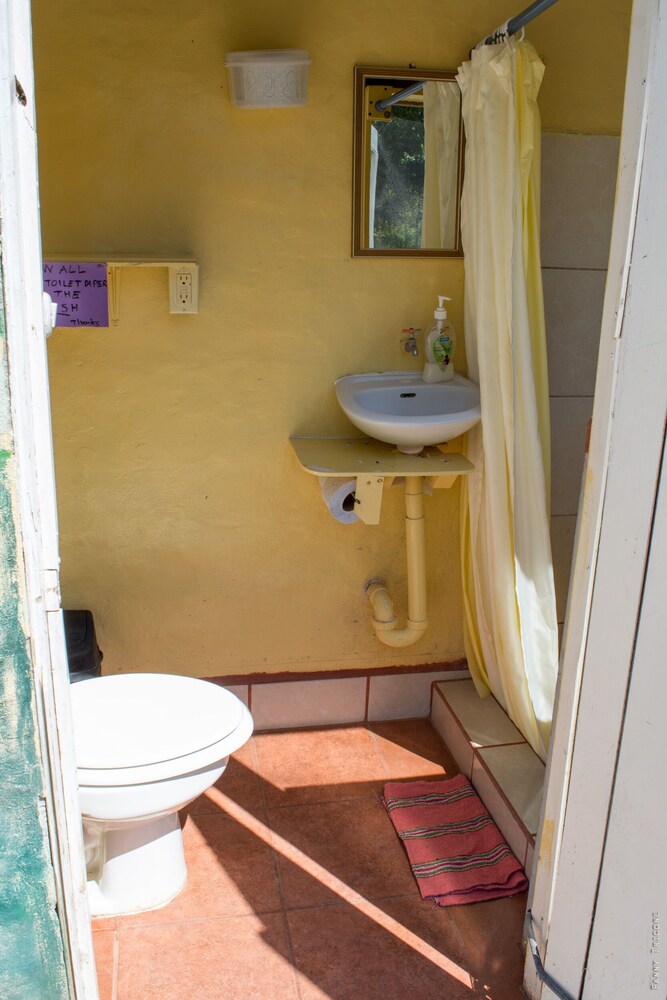 Photo 26