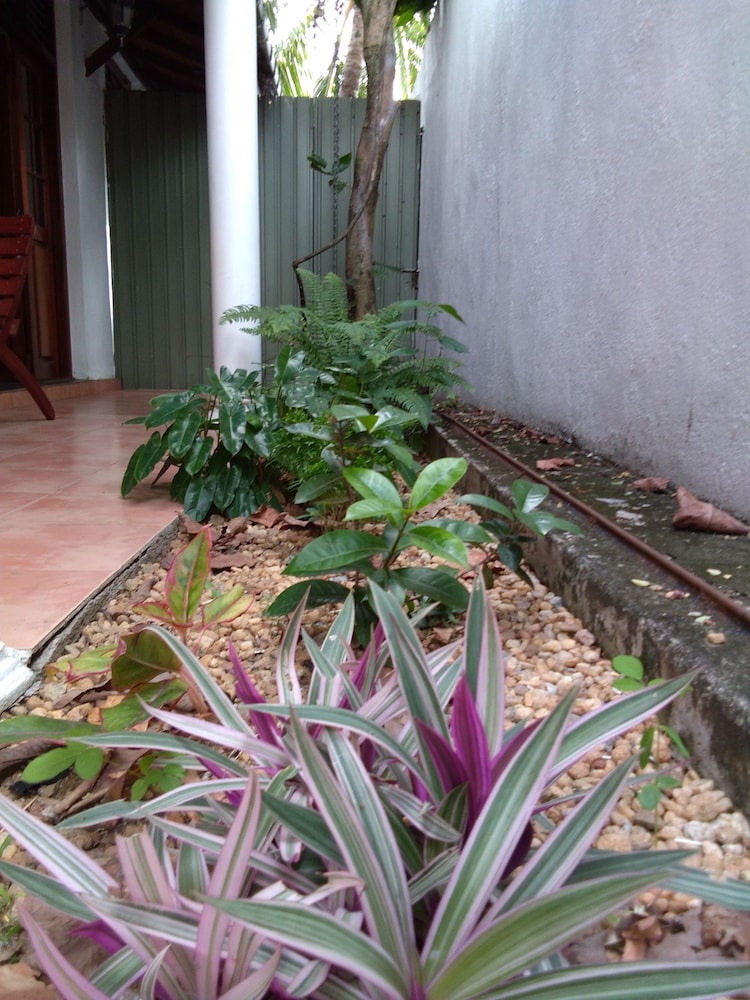Photo 41