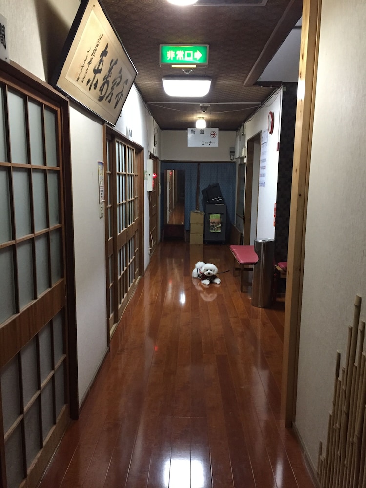 Photo 8