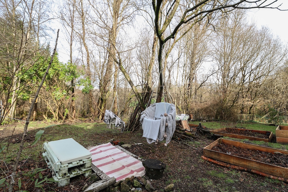 The Cottage In The Woods