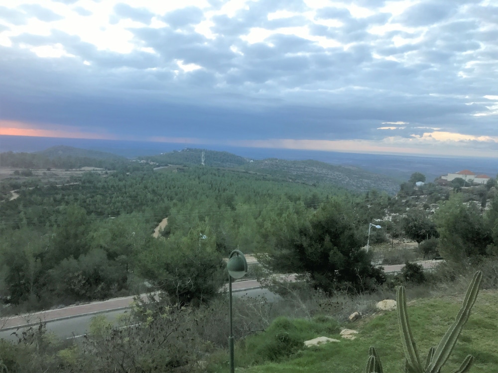 Dreams on the mount