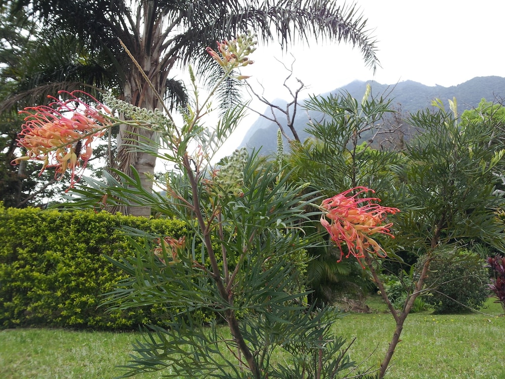 Cottage HANA MANA