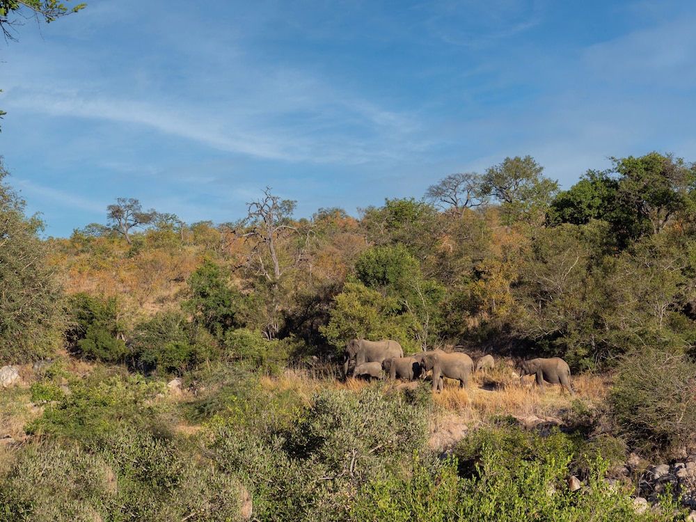Motswari African Retreat & Walking Safaris by Newmark view 3
