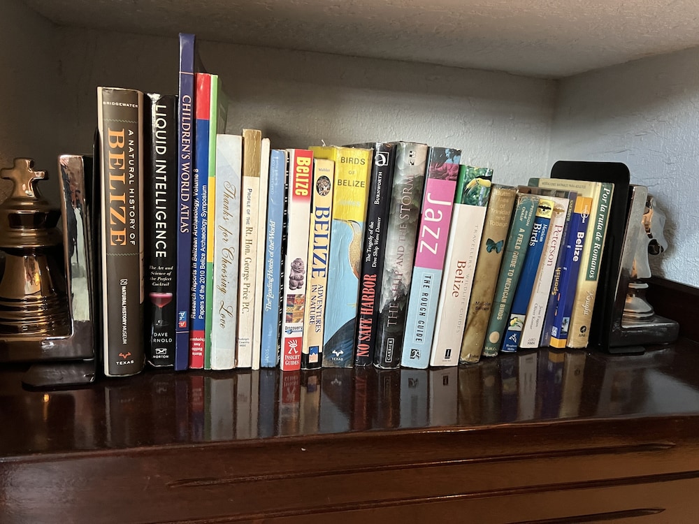 Photo 19