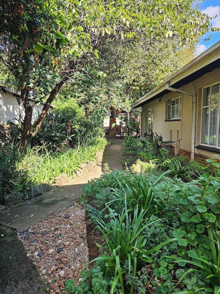 Birchway's Backpackers