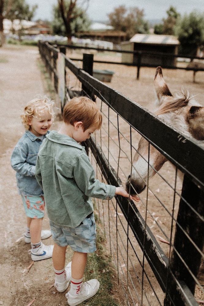 Hahndorf Farm Barn