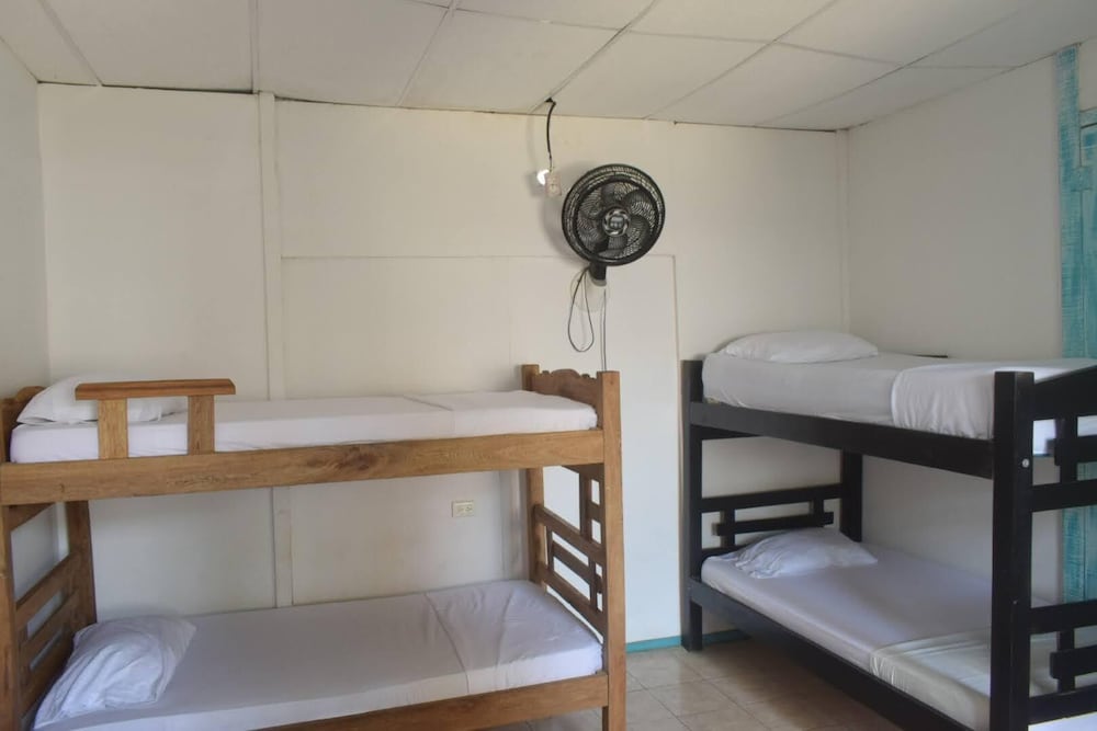 MANGO TREE HOSTEL 4 20