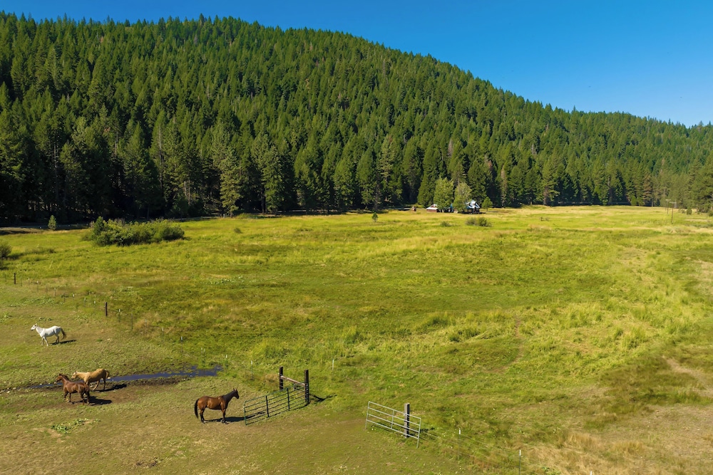 Dog-friendly 3BR on 200 Acres w/ River Access