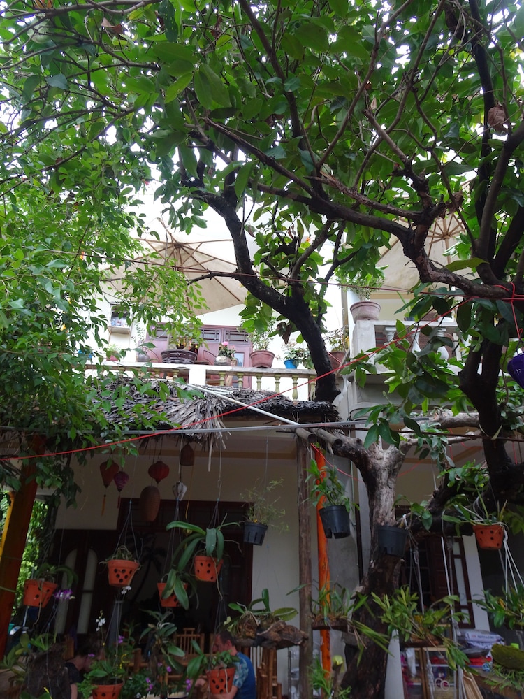 Ngo Khanh Homestay