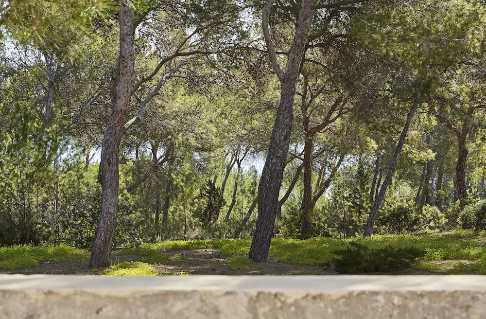 Villa Es Raig Ibiza photo 2