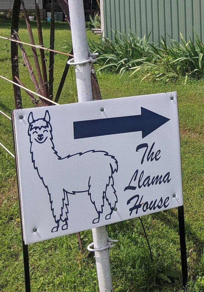 Omaha Vacations - Llama House - Property Image 13