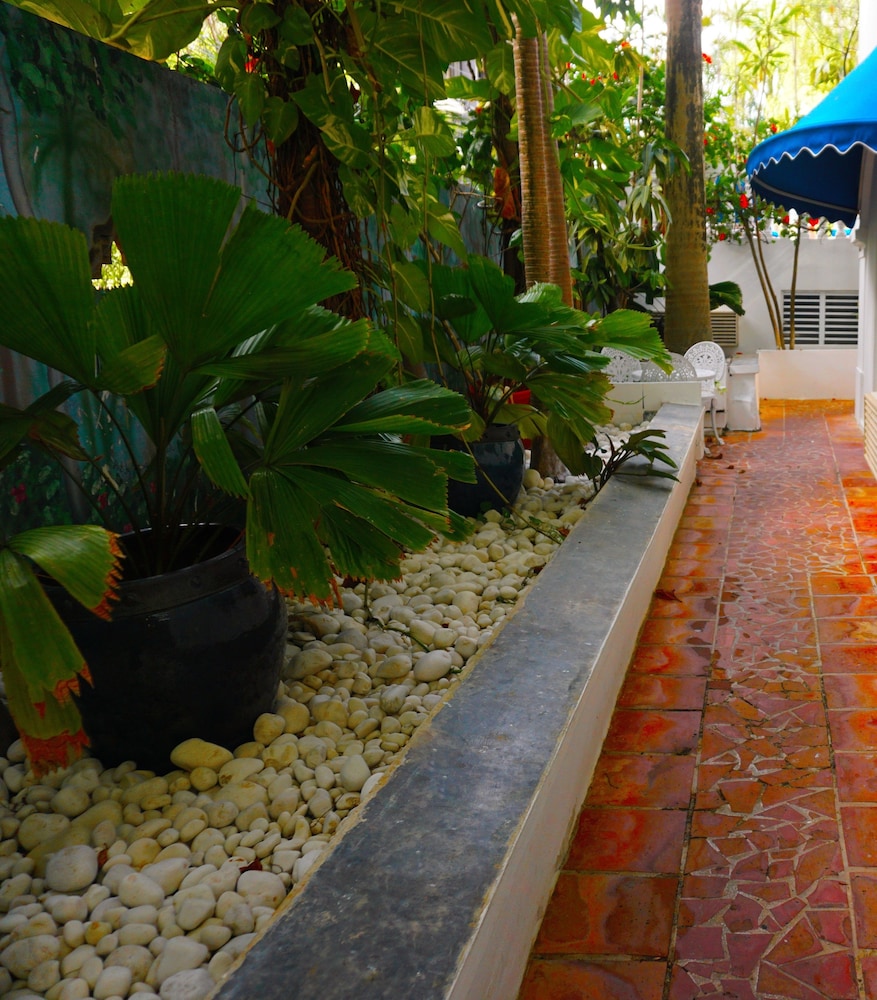 At Wind Chimes Boutique Hotel - Property Image 99