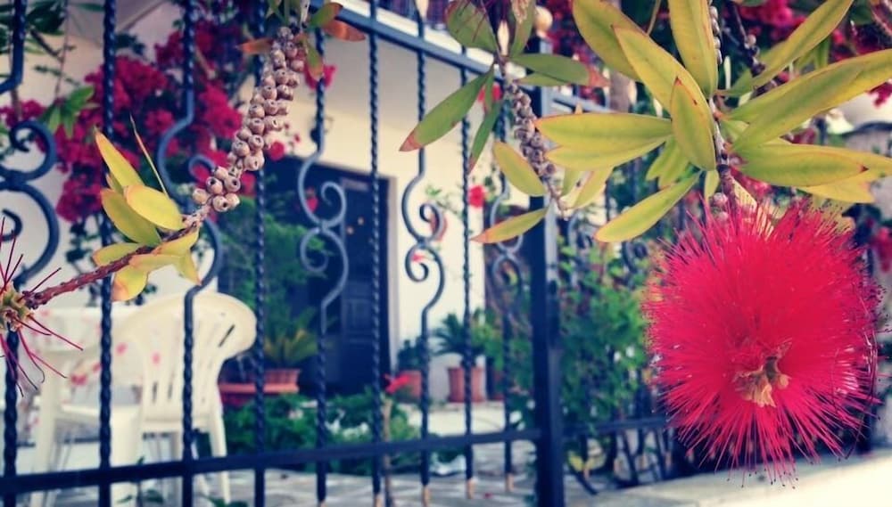 Mimoza Studios