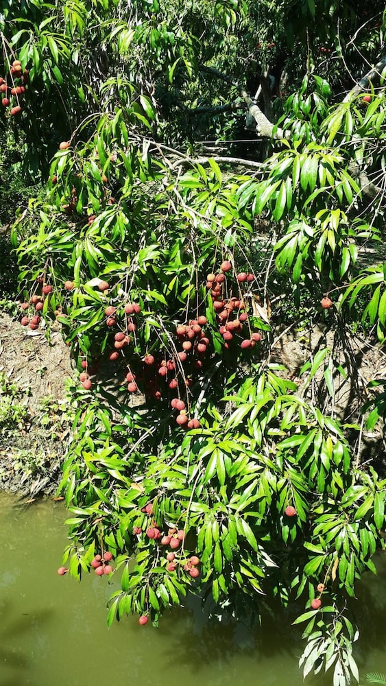 Baansuanlynjee Maeklong Resort