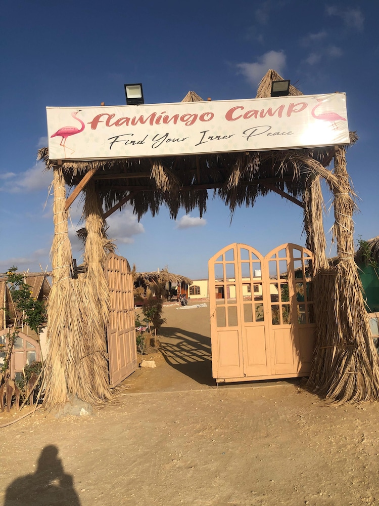 Flamingo Camp