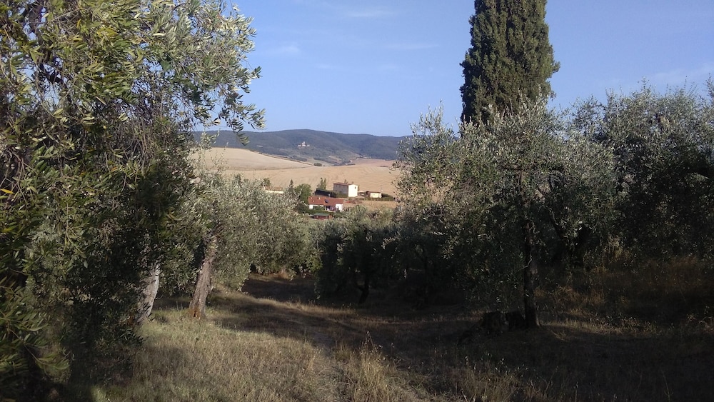 Photo 29