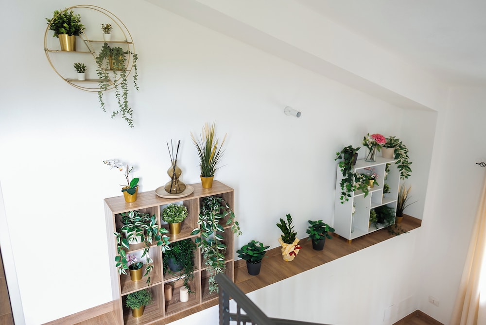 Bio B&B La Scoperta del Pollino