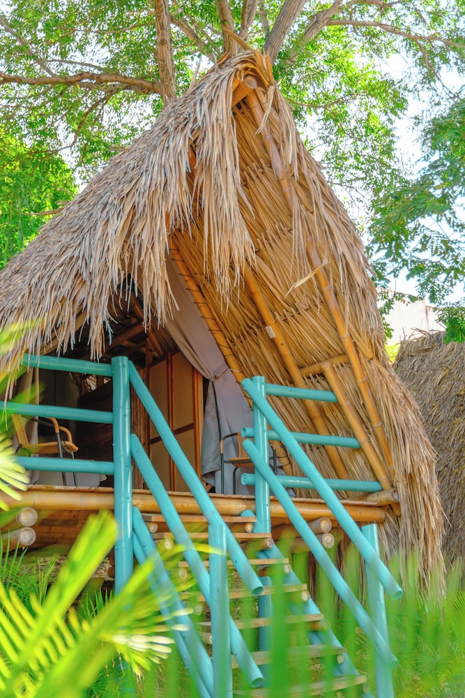 Traveler Hostel