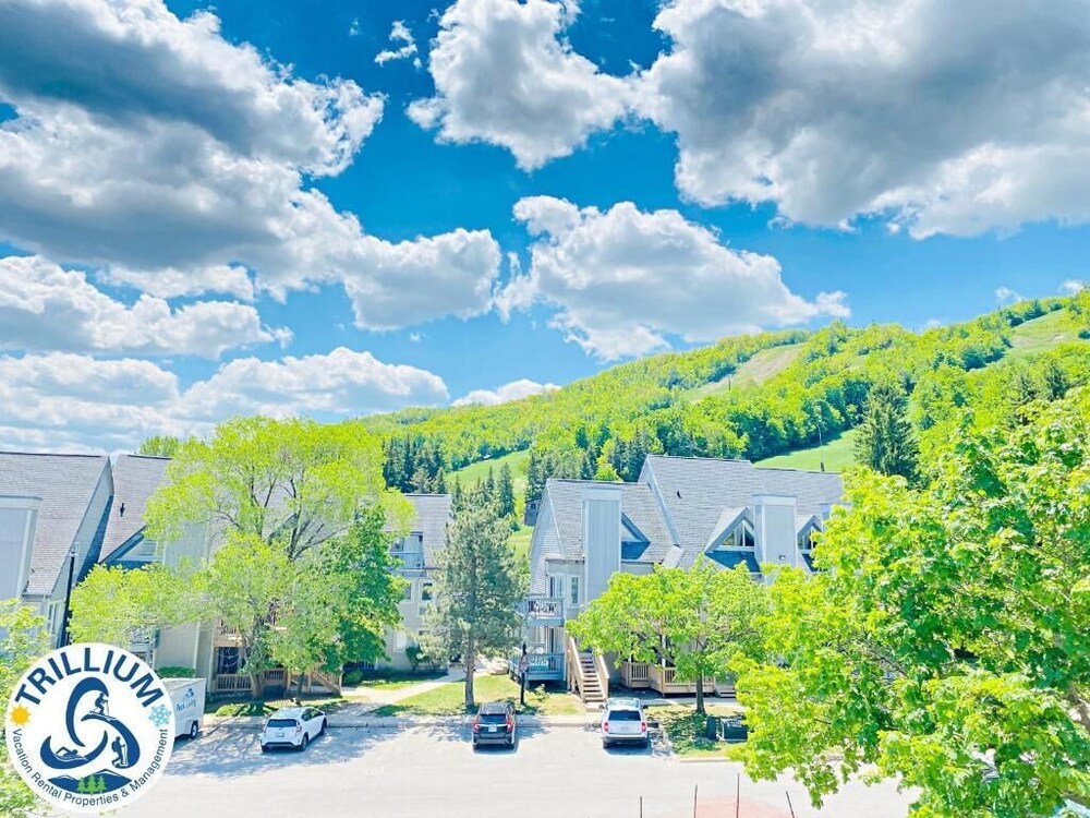 Blue Mountain Suites