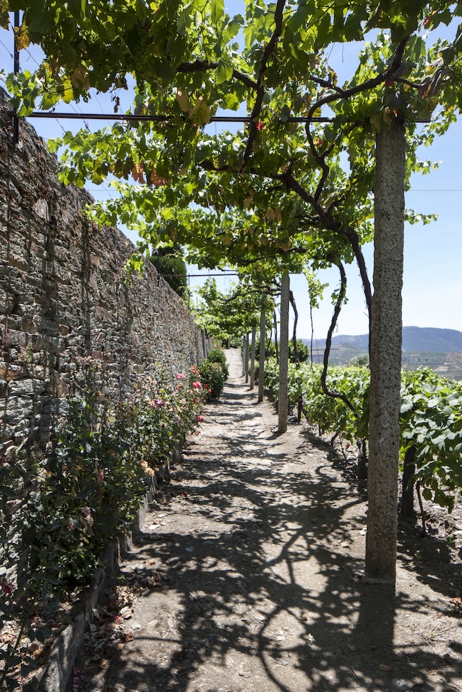 Casa de Casal de Loivos