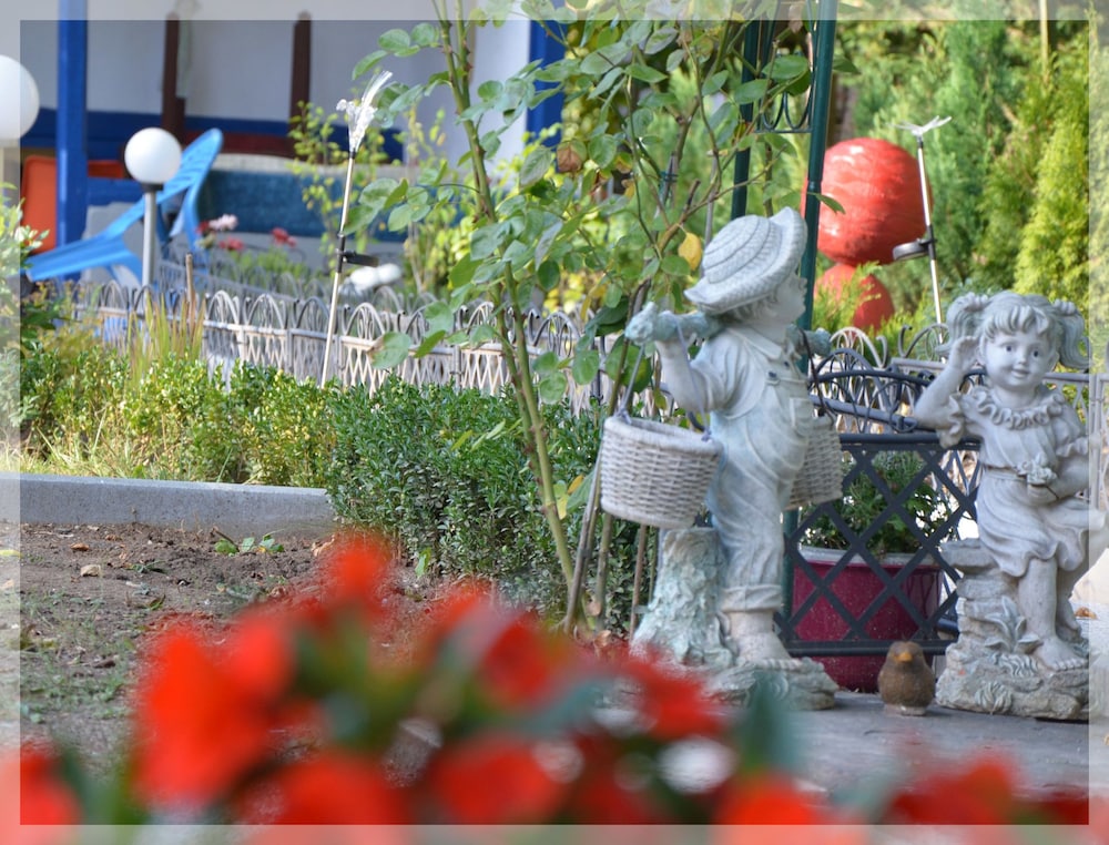 Photo 41