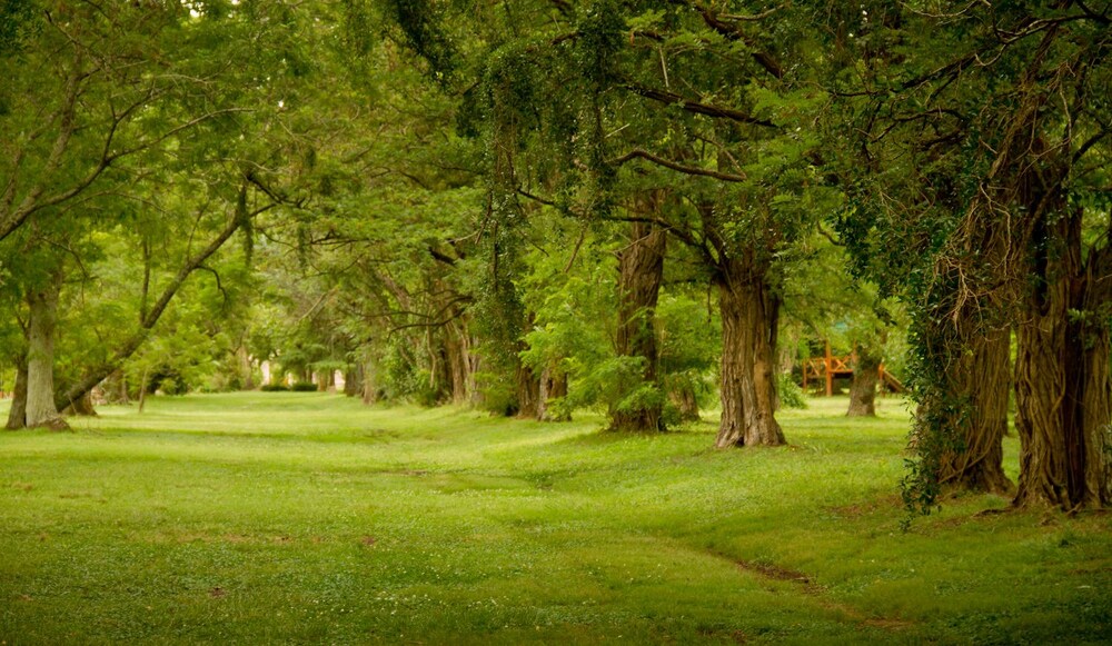 Estancia Monte Viejo