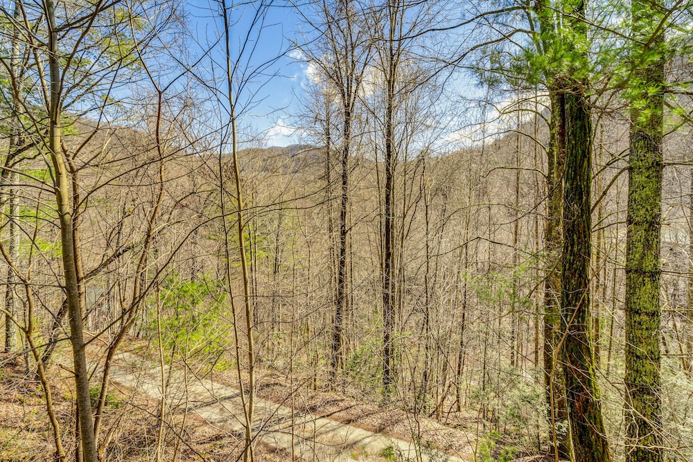 Bryson City Cabin w/ Stunning Views & Hot Tub! view 4