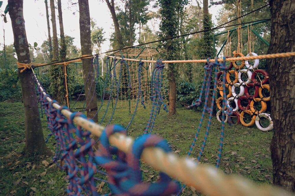 Wood Clusters
