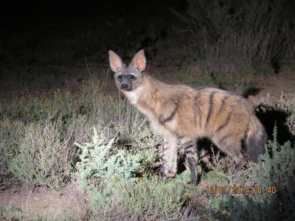 Karoo Gariep Tented Camp