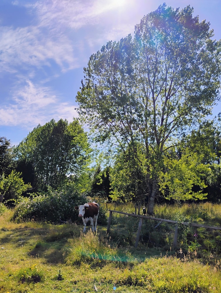 Campos de Frutillar
