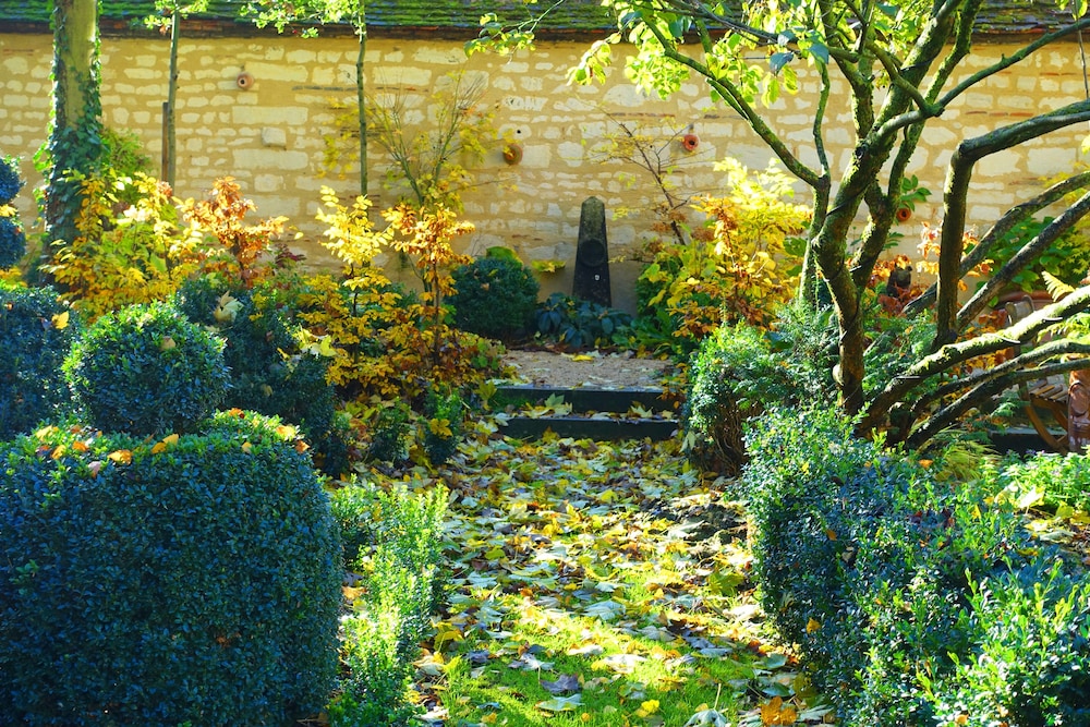 Le Jardin de la Cathédrale