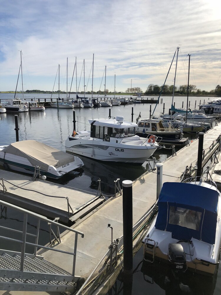 Ostseekrabbe