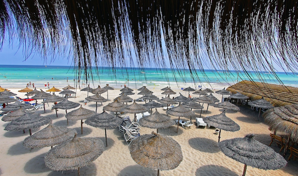 Joya Paradise