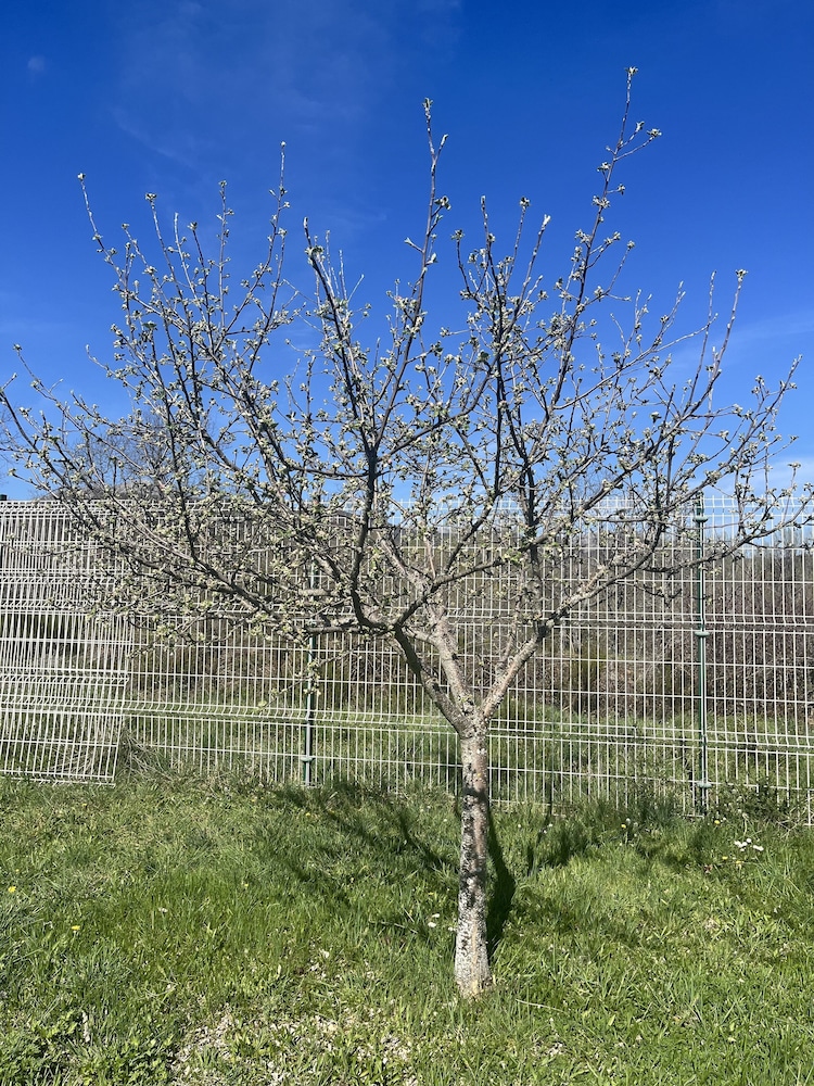 Casas rurales 4 valles