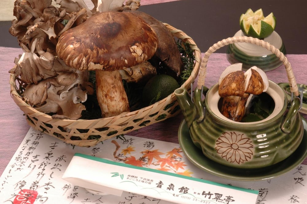 Gero Onsen Kissenkan Chikusuitei